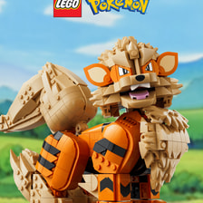 NEW LEGO Pokémon Arcanine