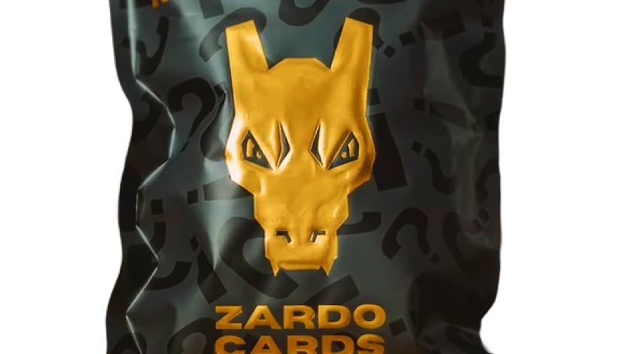 ZARDO MYSTERY BAG